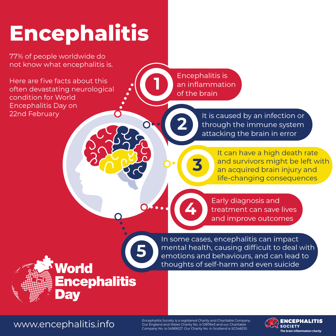 World Encephalitis Day Encephalitis International