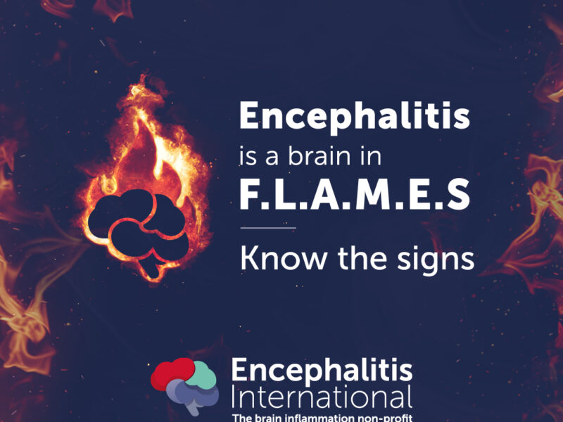 Encephalitis is a brain in flames